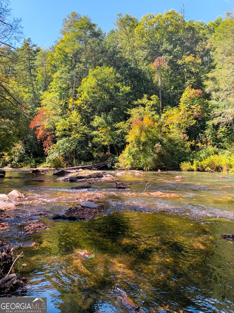 411 Gunite Circle Ellijay - 84