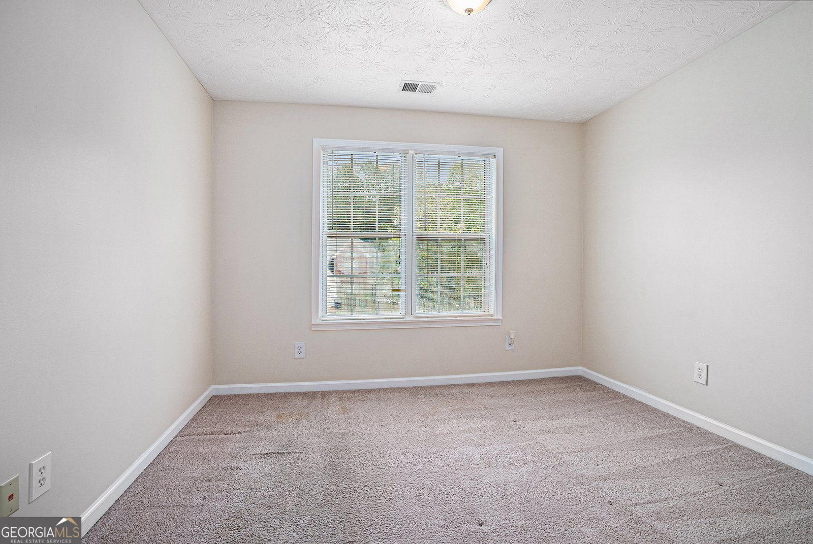 3885 Weeping Willow Lane Loganville - 20