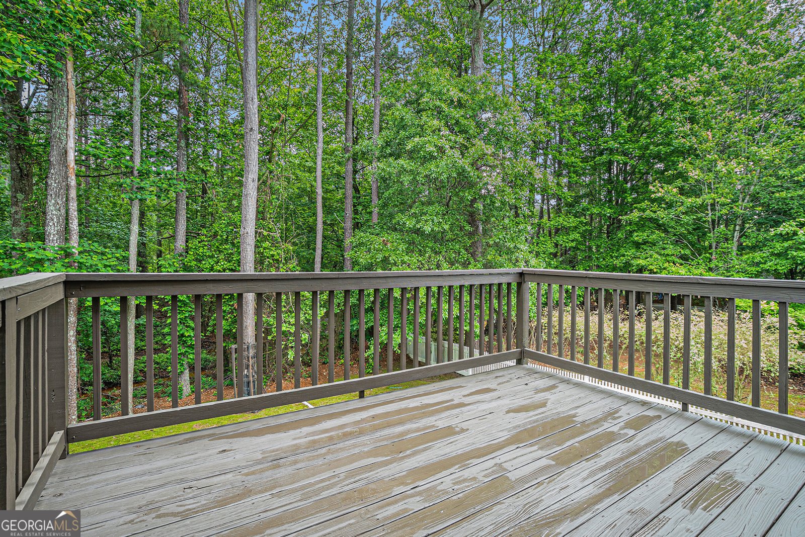 3885 Weeping Willow Lane Loganville - 31