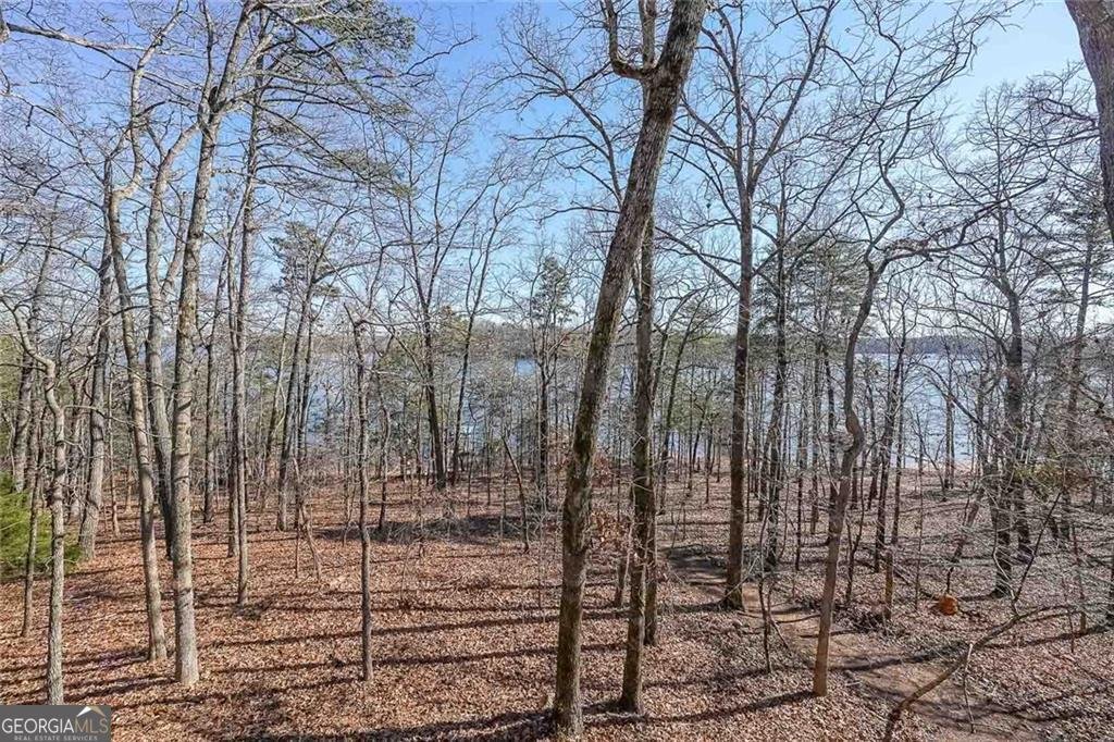9460 Chestatee Court Gainesville - 32