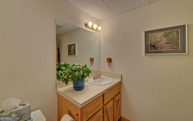 228 Flat Rock Valley Road Blairsville - 23