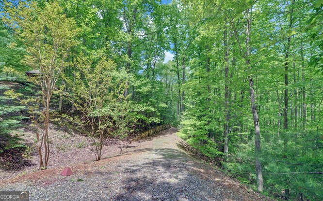 228 Flat Rock Valley Road Blairsville - 39