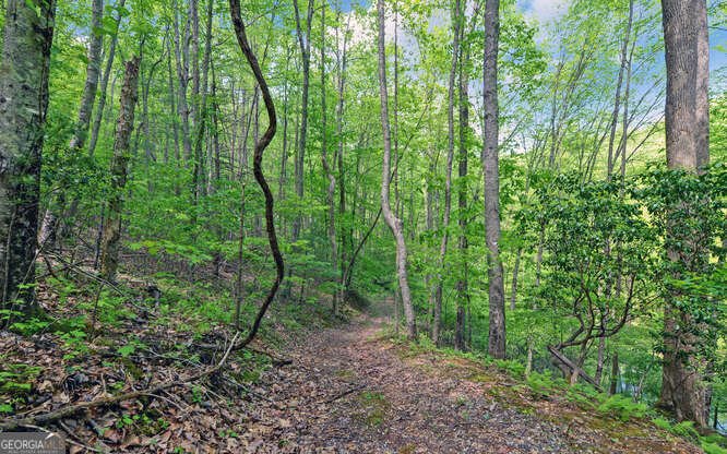 228 Flat Rock Valley Road Blairsville - 40