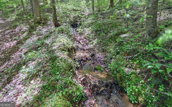 228 Flat Rock Valley Road Blairsville - 41
