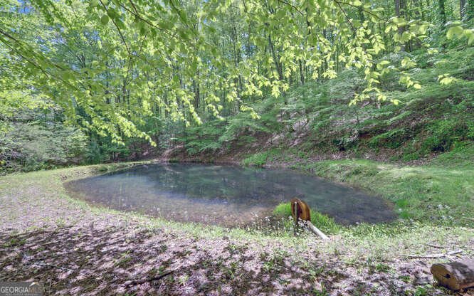 228 Flat Rock Valley Road Blairsville - 44