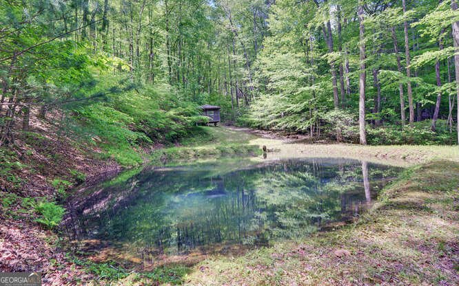 228 Flat Rock Valley Road Blairsville - 45