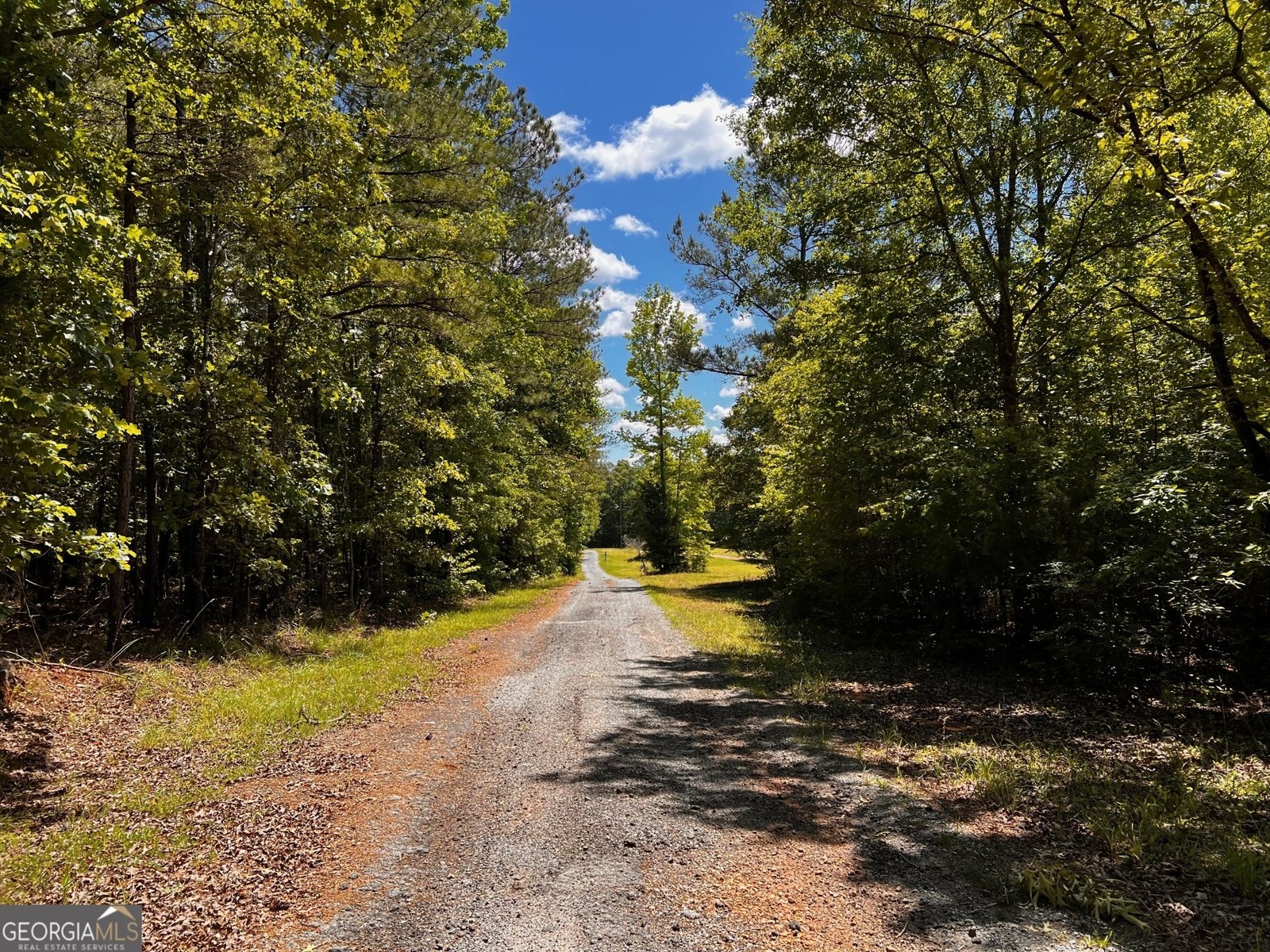 164 New Harmony Church Road Thomaston - 31