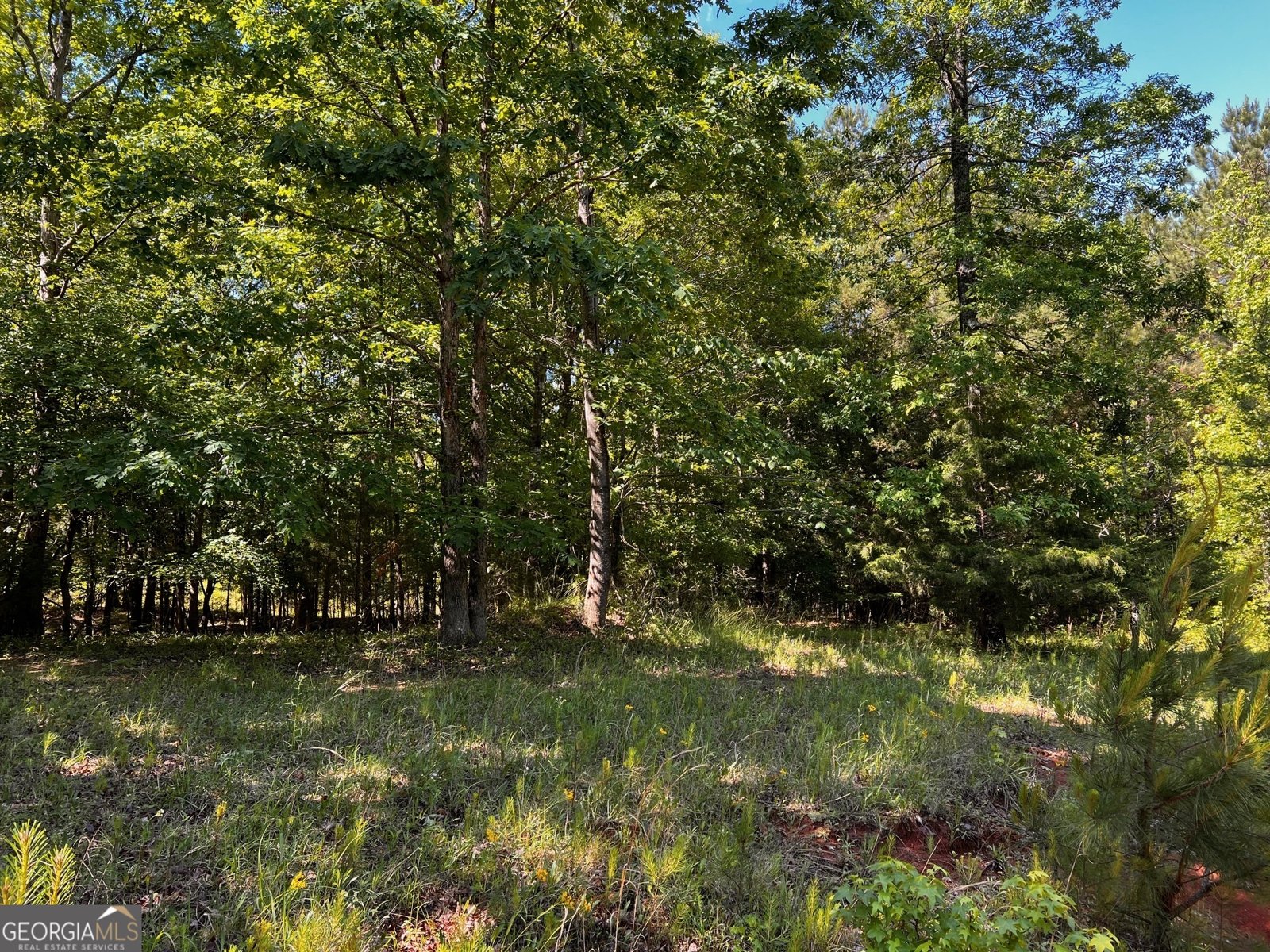164 New Harmony Church Road Thomaston - 34