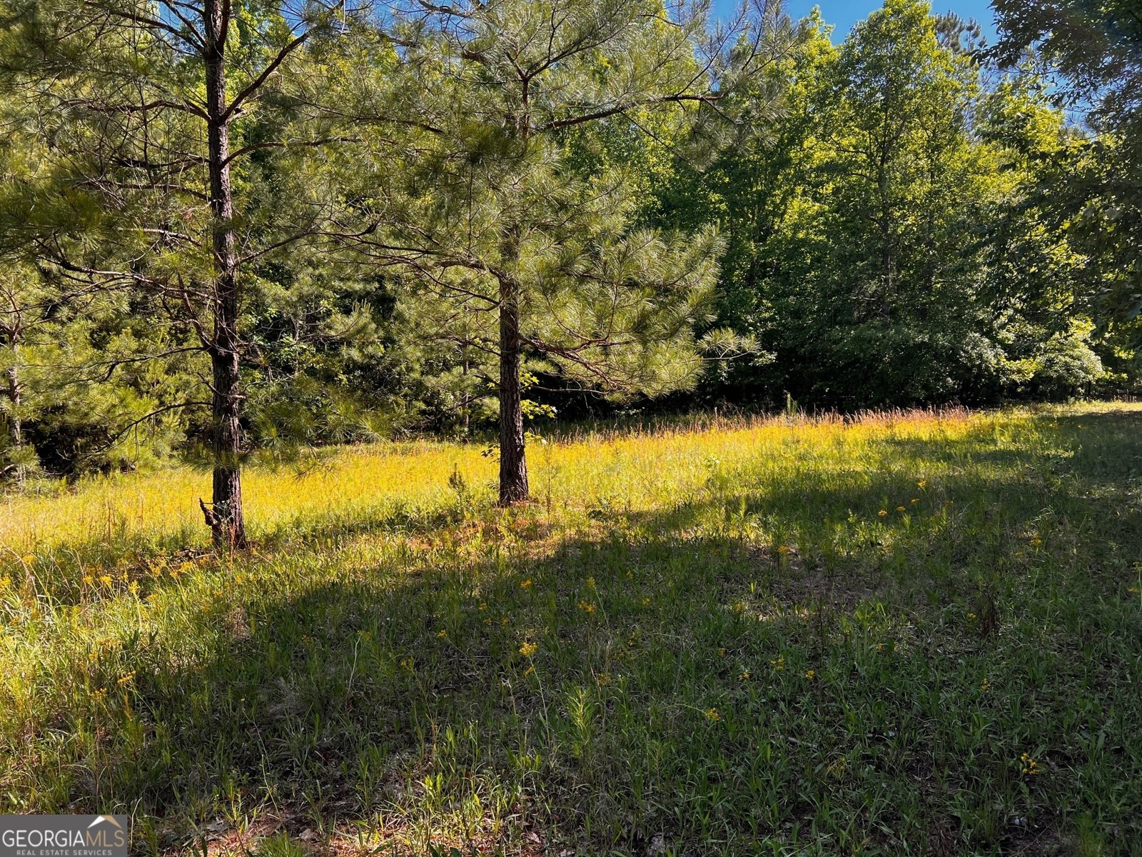 164 New Harmony Church Road Thomaston - 35
