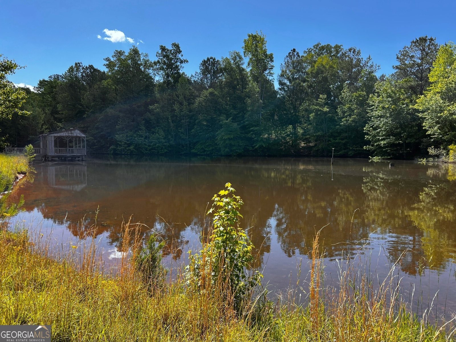 164 New Harmony Church Road Thomaston - 37
