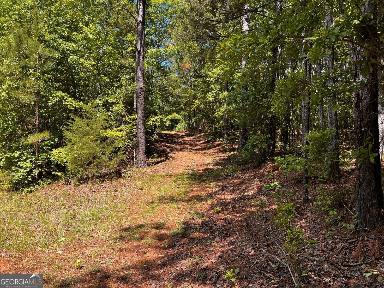 164 New Harmony Church Road Thomaston - 42