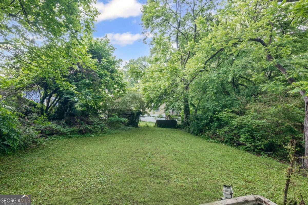 1591 Jonesboro Road Atlanta - 28