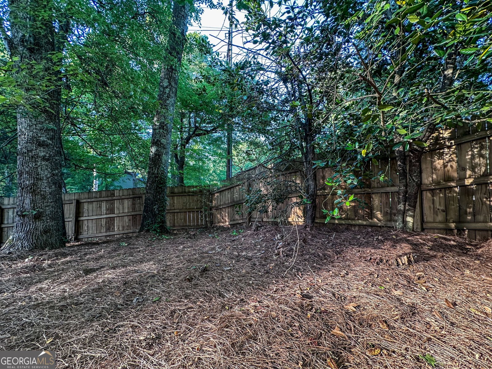 2160 Towne Manor Drive Kennesaw - 54