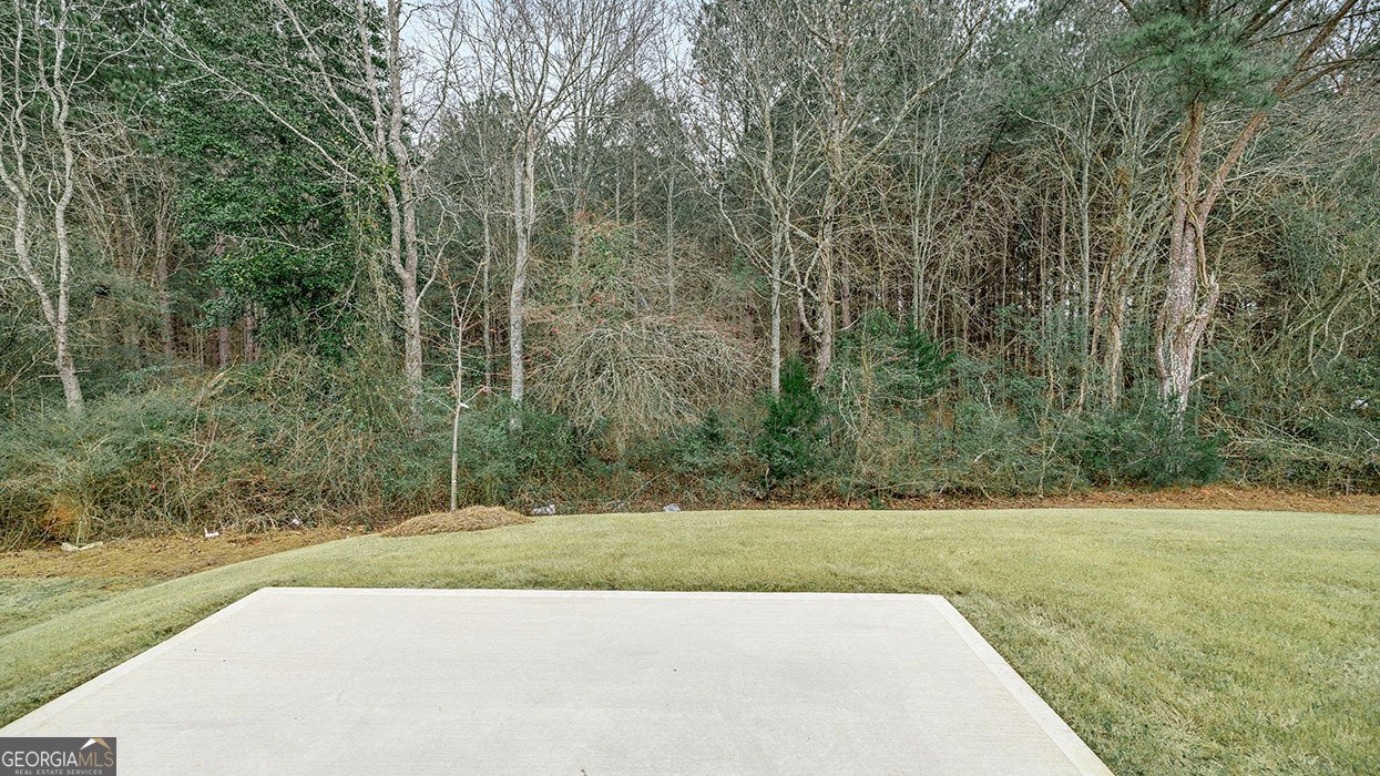 616 Whitman Lane Stockbridge - Photo 41