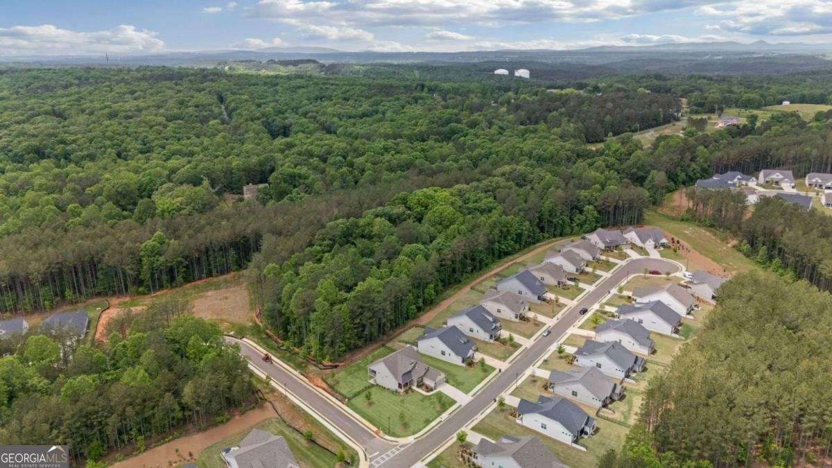438 Southland Circle Canton - 60