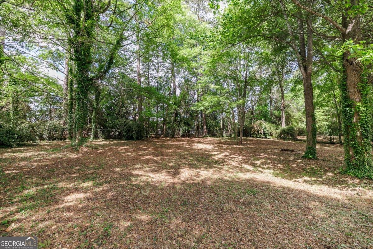 123 Stonybrook Court Athens - 34