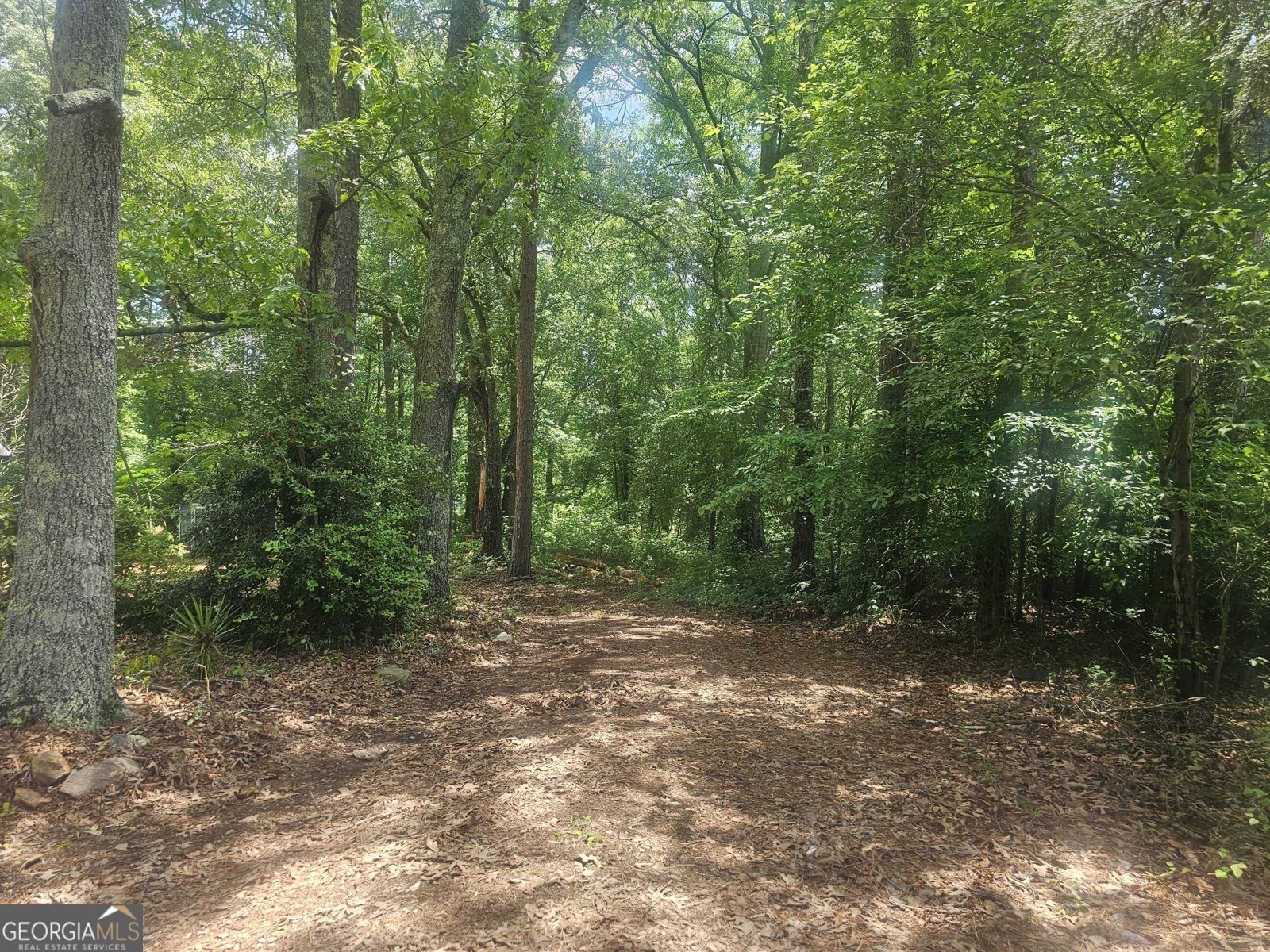 367 Frashier Road Carrollton - 17