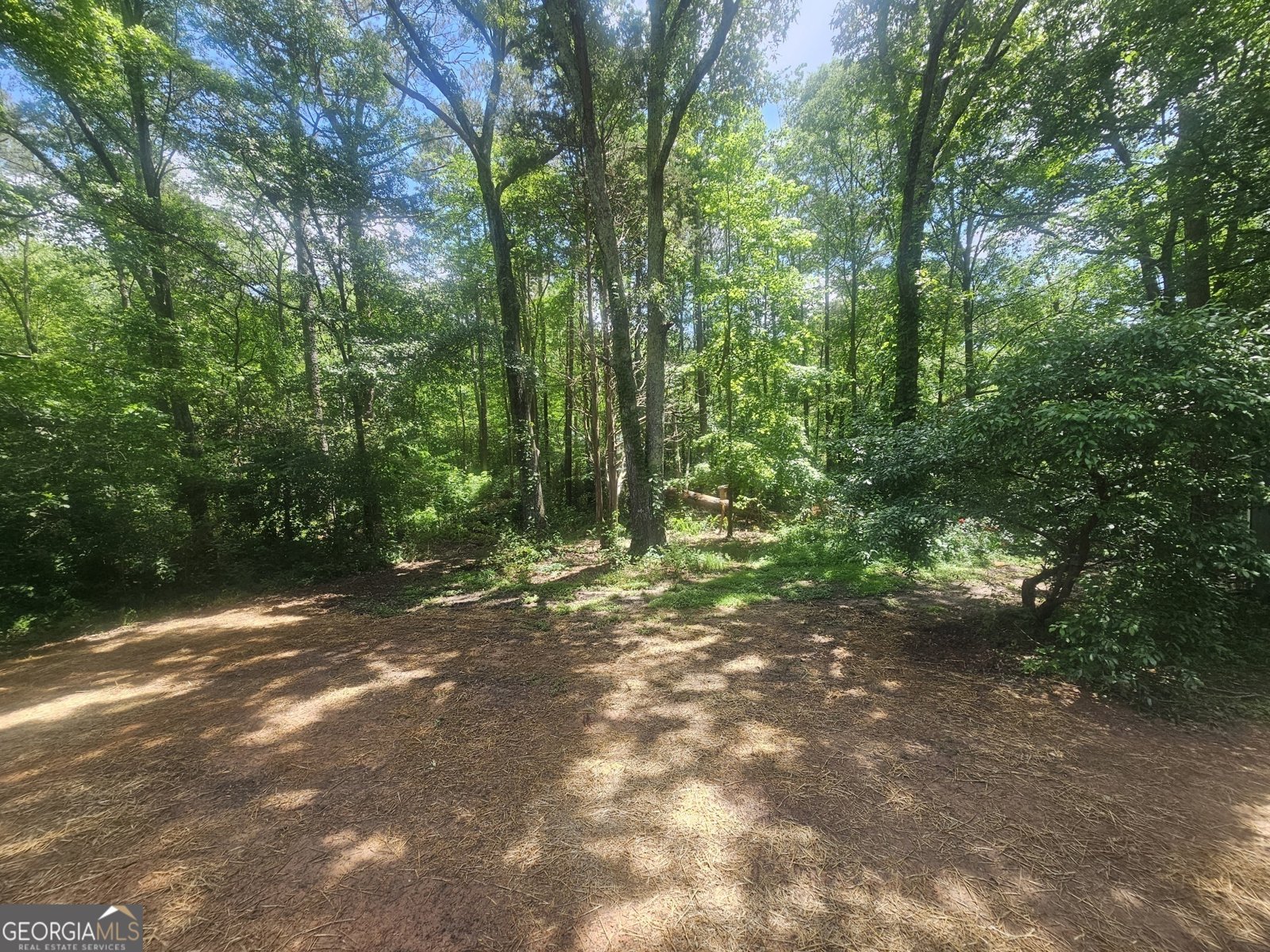 367 Frashier Road Carrollton - 19