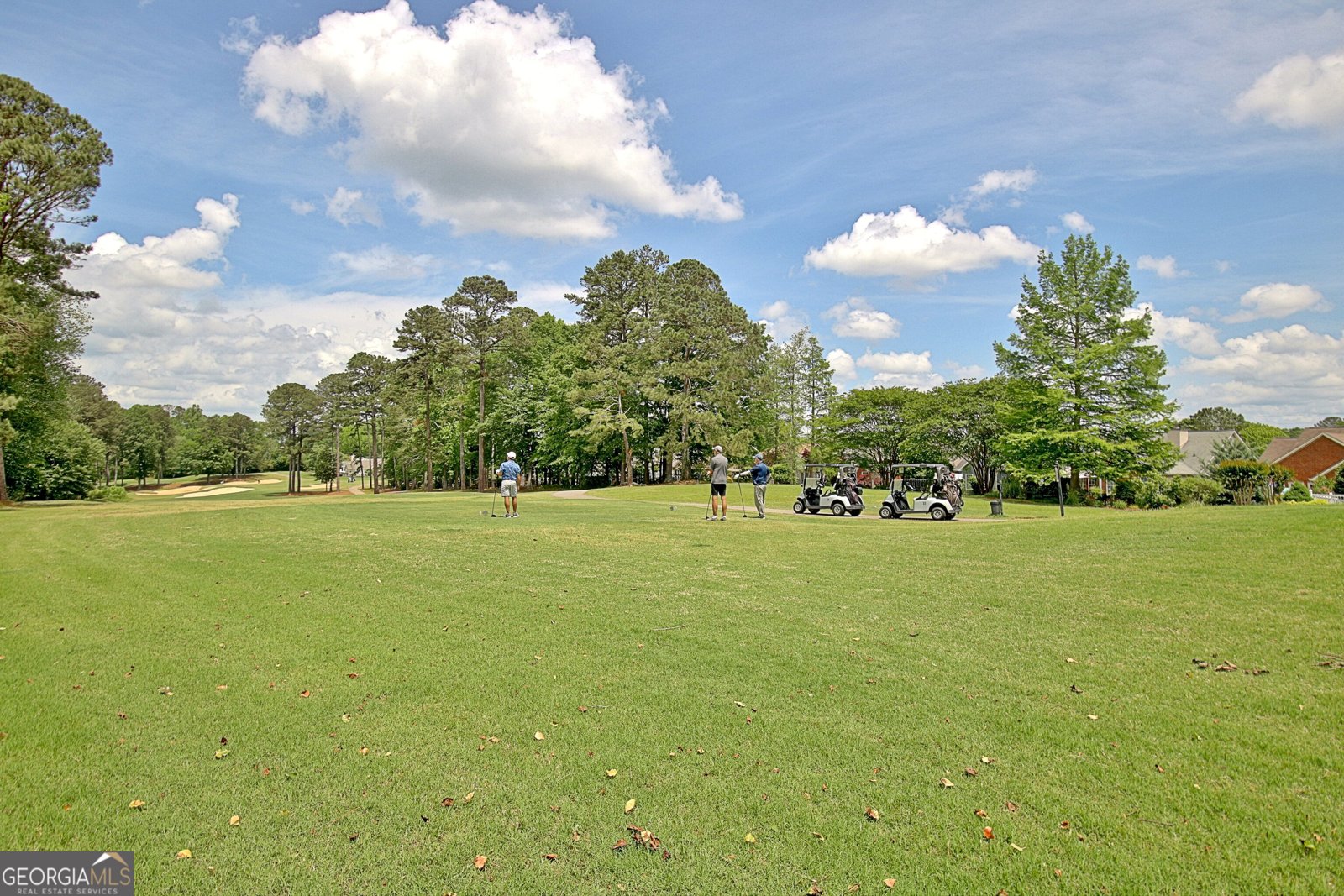 255 255 Tillinghast Trace Newnan - 15