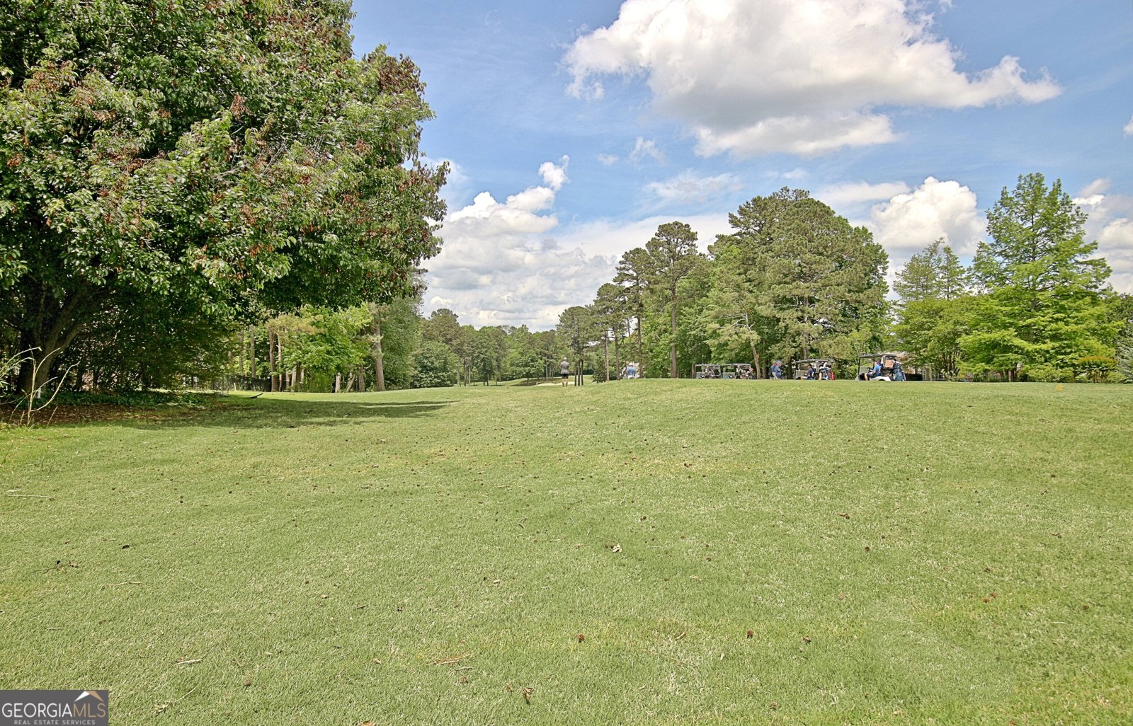 255 255 Tillinghast Trace Newnan - 16
