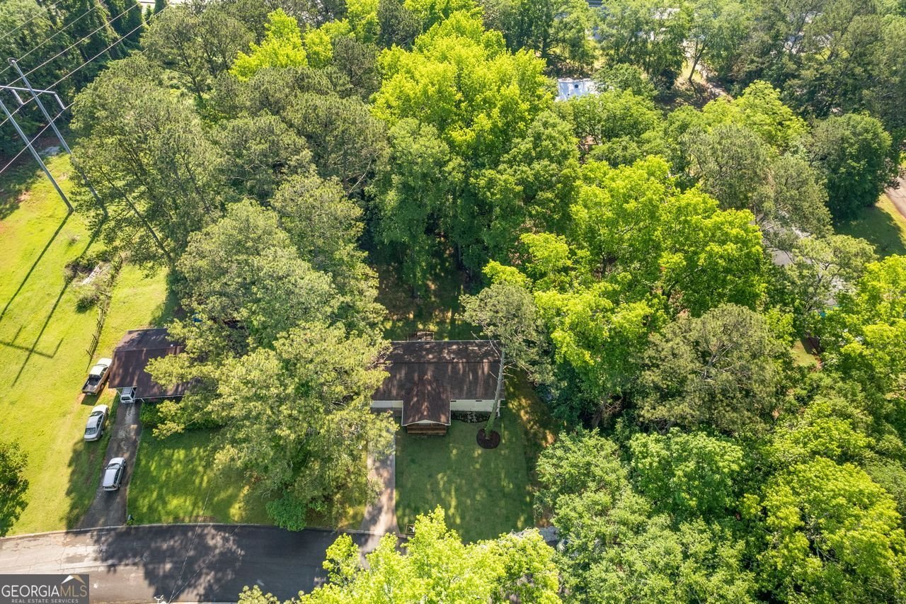 2856 Bay Leaf Drive Conyers - 4