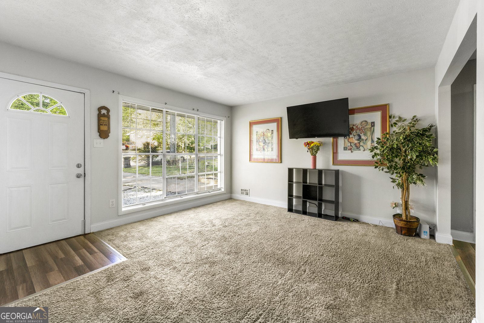1082 Green Valley Drive Conyers - 3