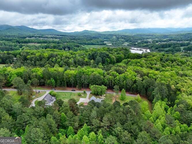 302 Brook Green Court Blairsville - 62