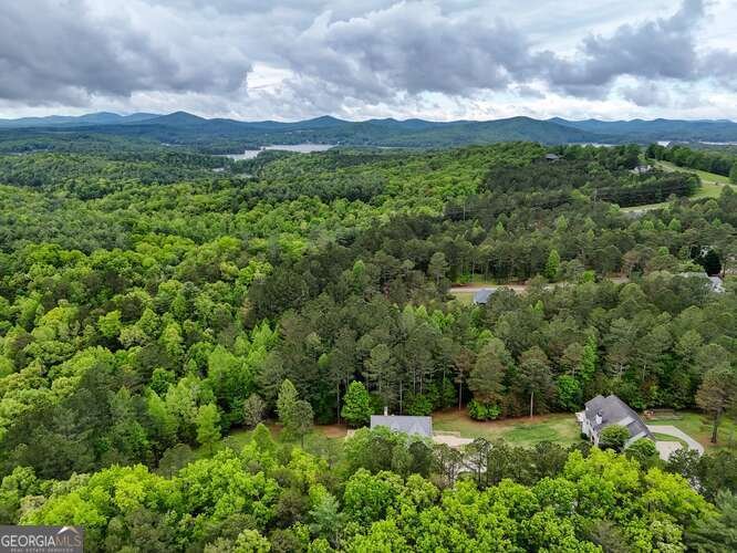 302 Brook Green Court Blairsville - 66