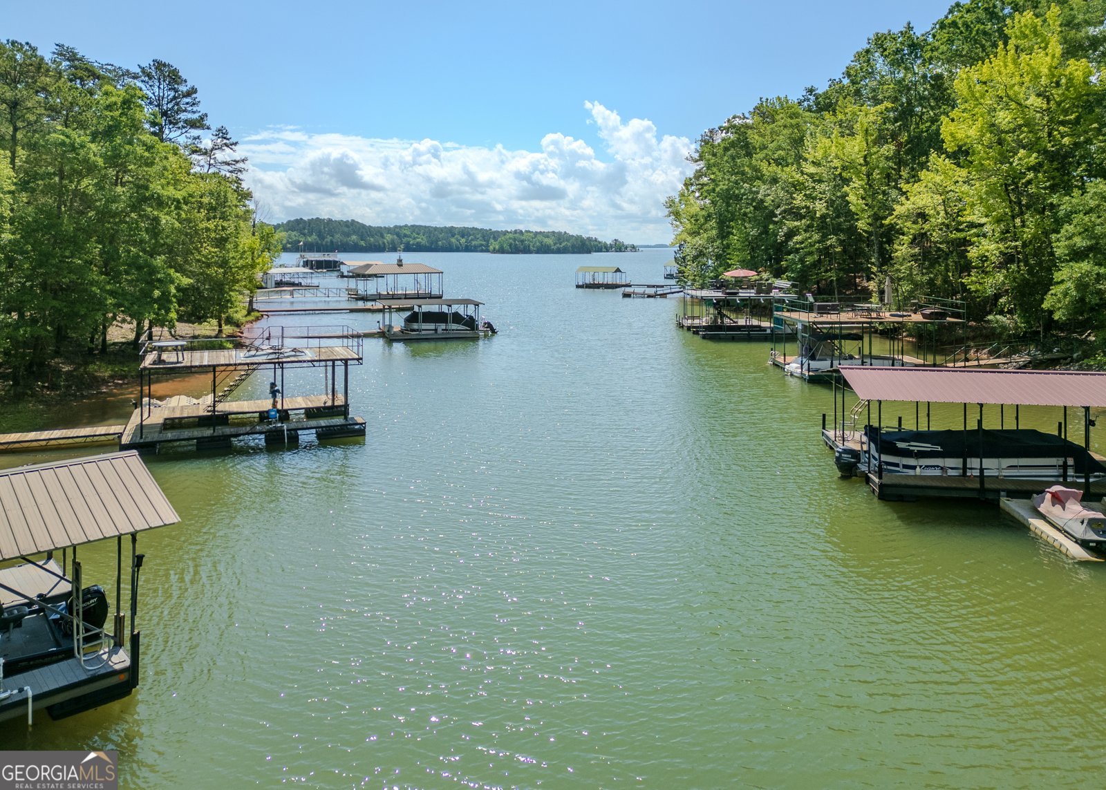 142 Hugh Dorsey Road Hartwell - 9