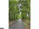 3723 Silvery Way Powder Springs - 50