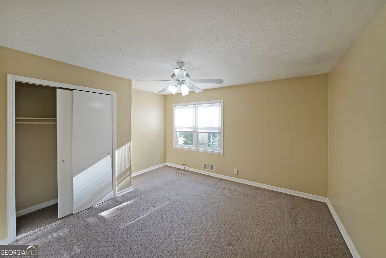 1003 Wiley Bridge Road Woodstock - 12