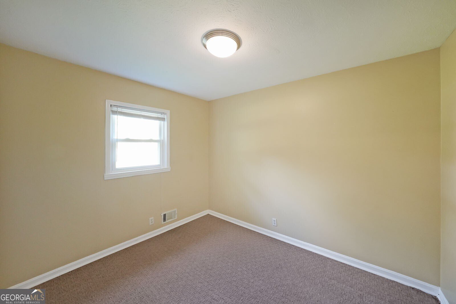 1003 Wiley Bridge Road Woodstock - 13