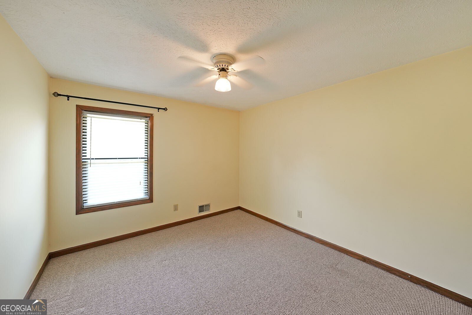 999 Wiley Bridge Road Woodstock - 10