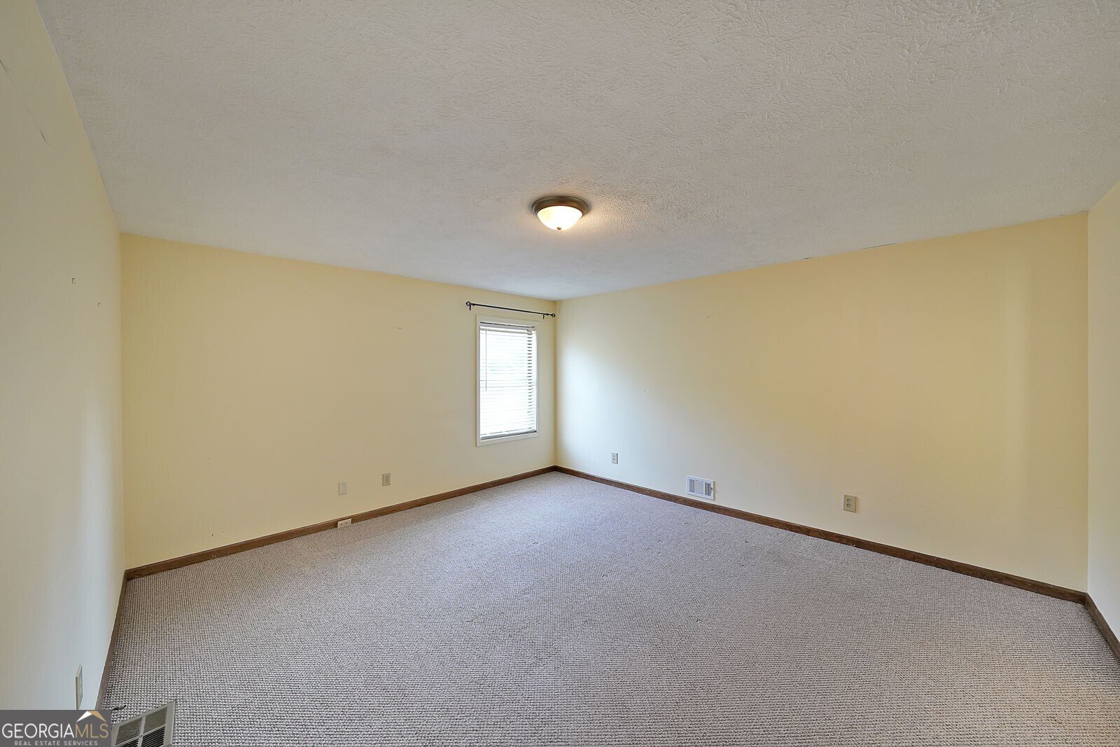 999 Wiley Bridge Road Woodstock - 12
