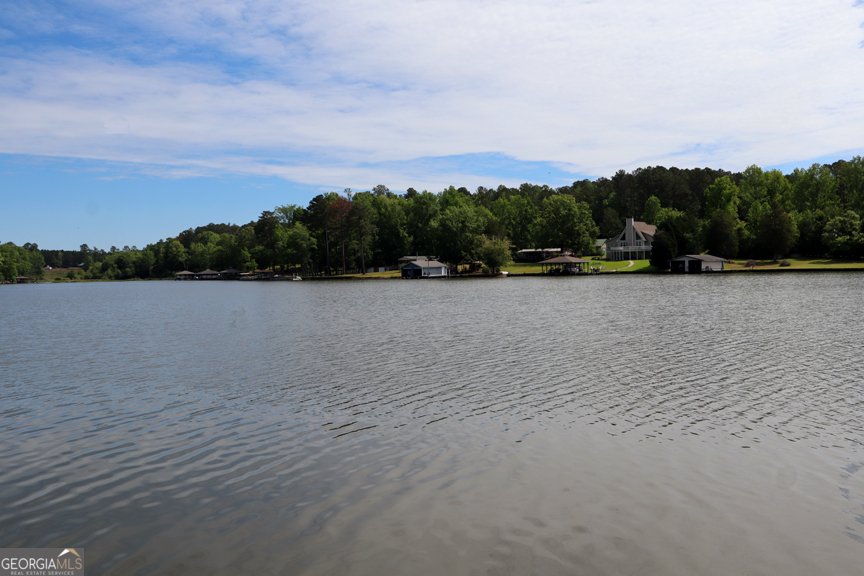 451 Loblolly Drive Sparta - 13
