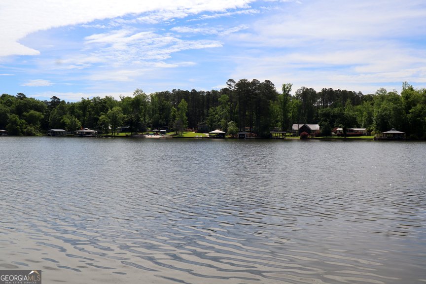 451 Loblolly Drive Sparta - 14