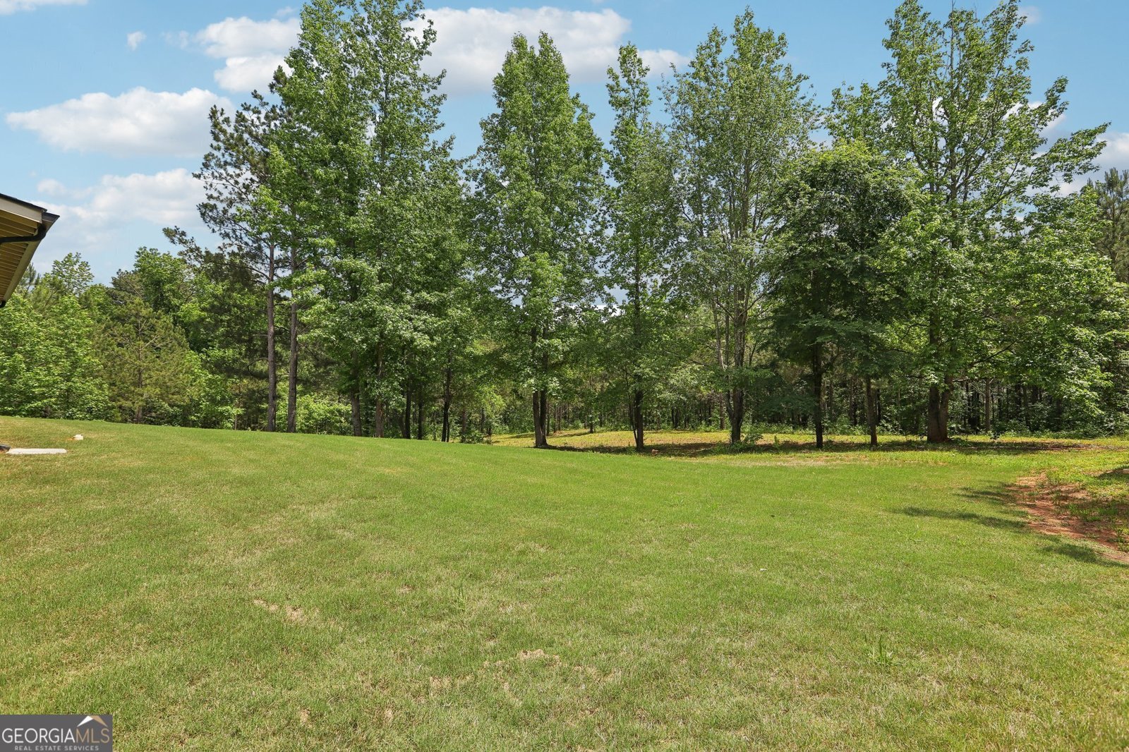 411 Johnson Road Locust Grove - 35