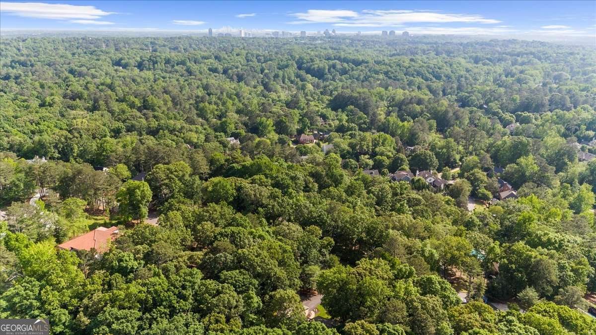 1665 Chevron Way Sandy Springs - 88