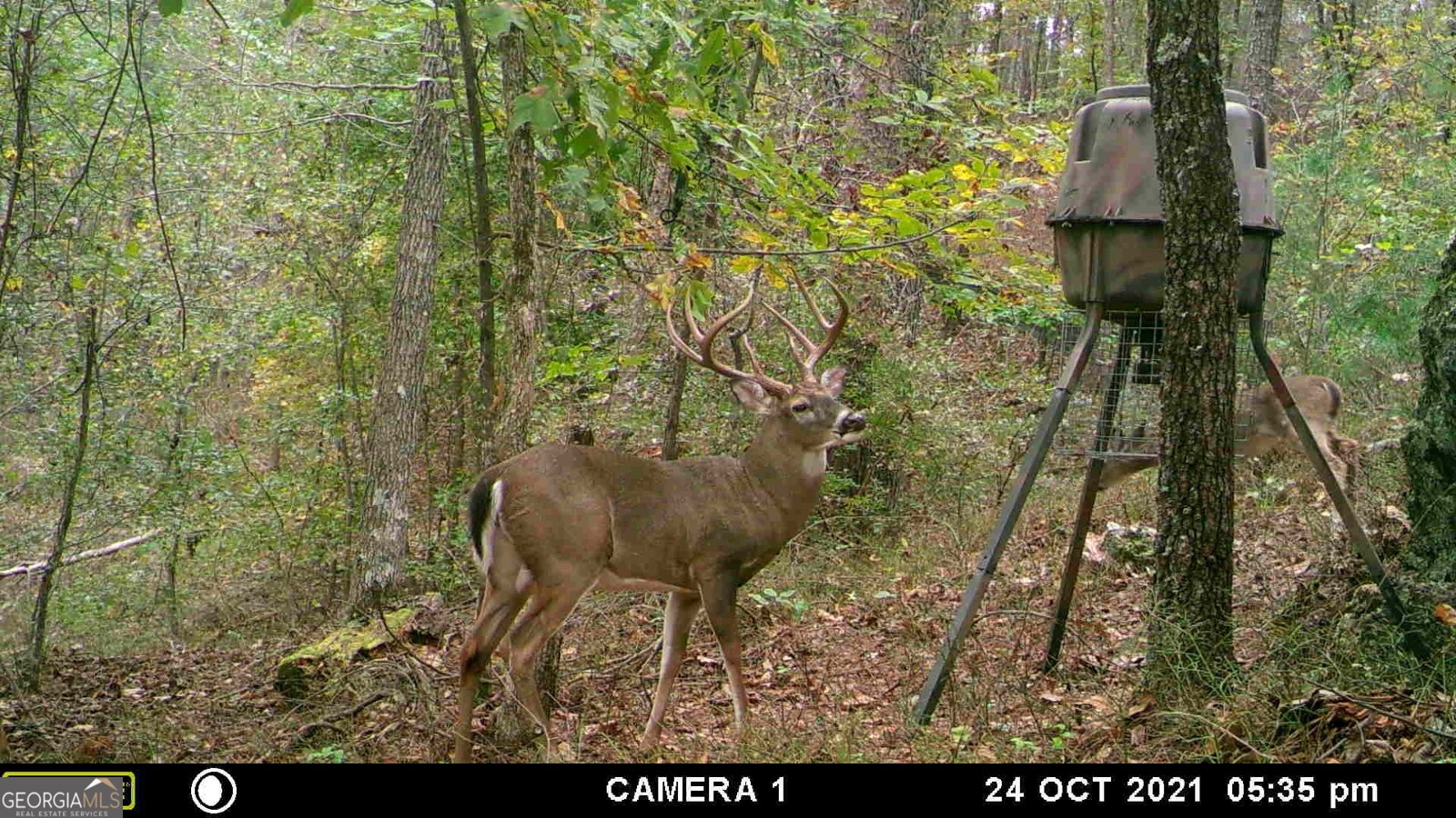 23 Sunset Ridge Cartersville - 12