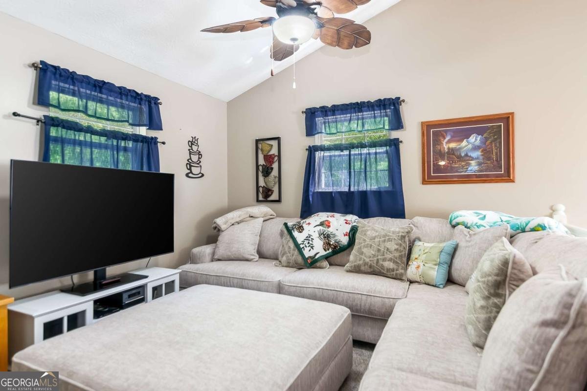 77 CANE CREEK Ridge Blairsville - 22