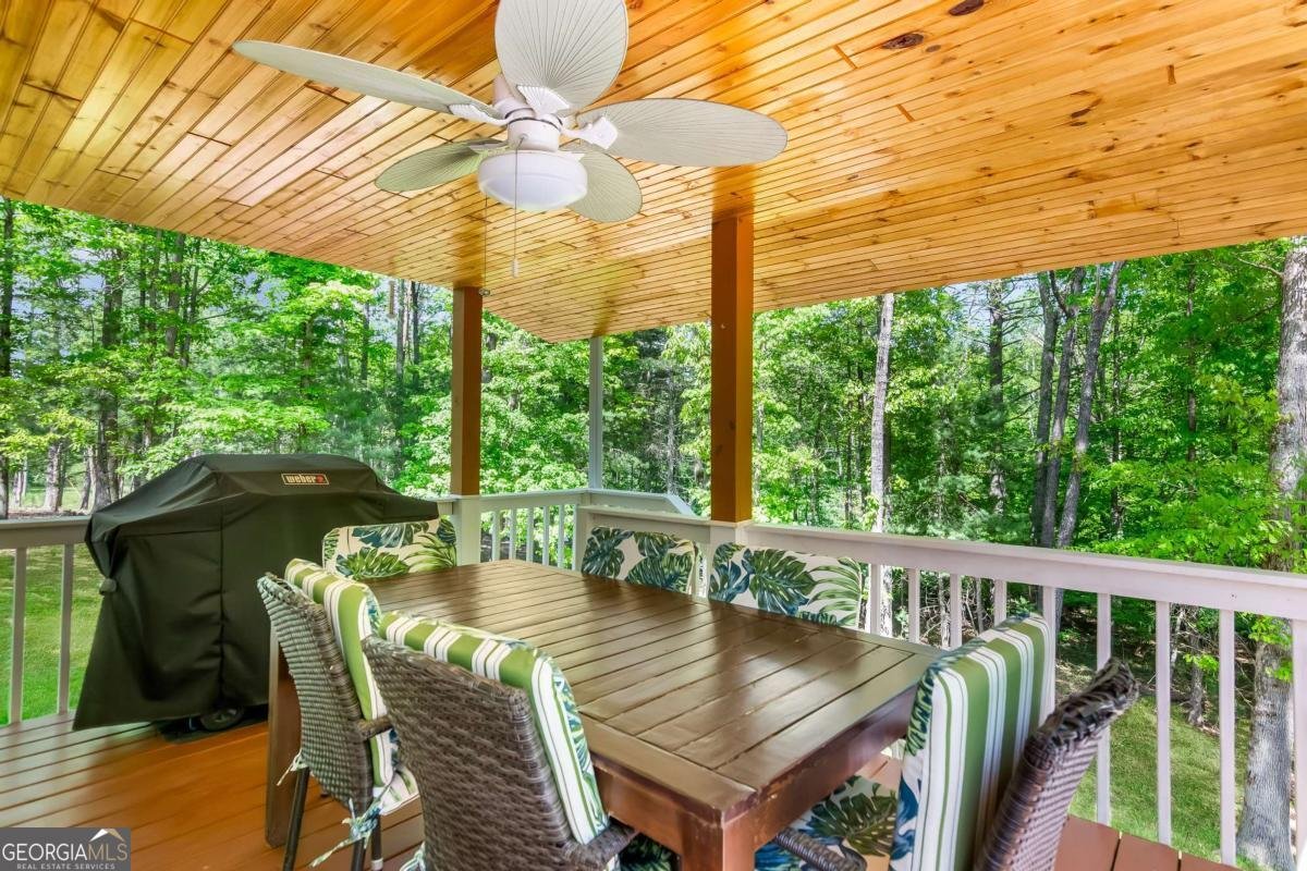 77 CANE CREEK Ridge Blairsville - 33