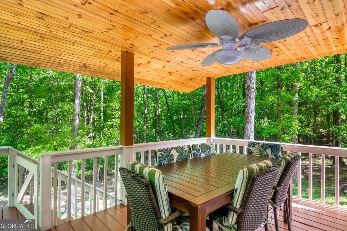 77 CANE CREEK Ridge Blairsville - 35