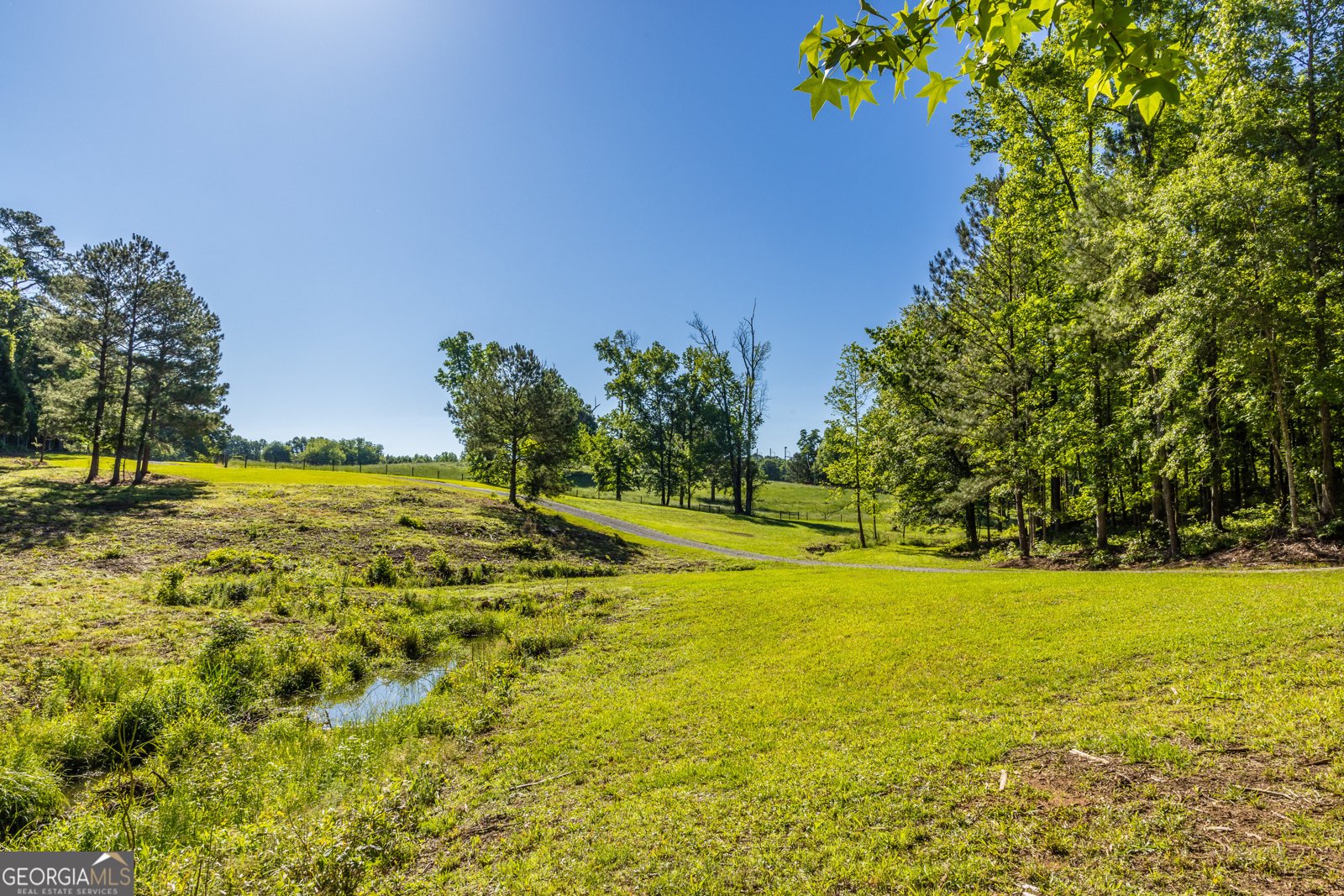 315 Mud Bridge Road The Rock - 45