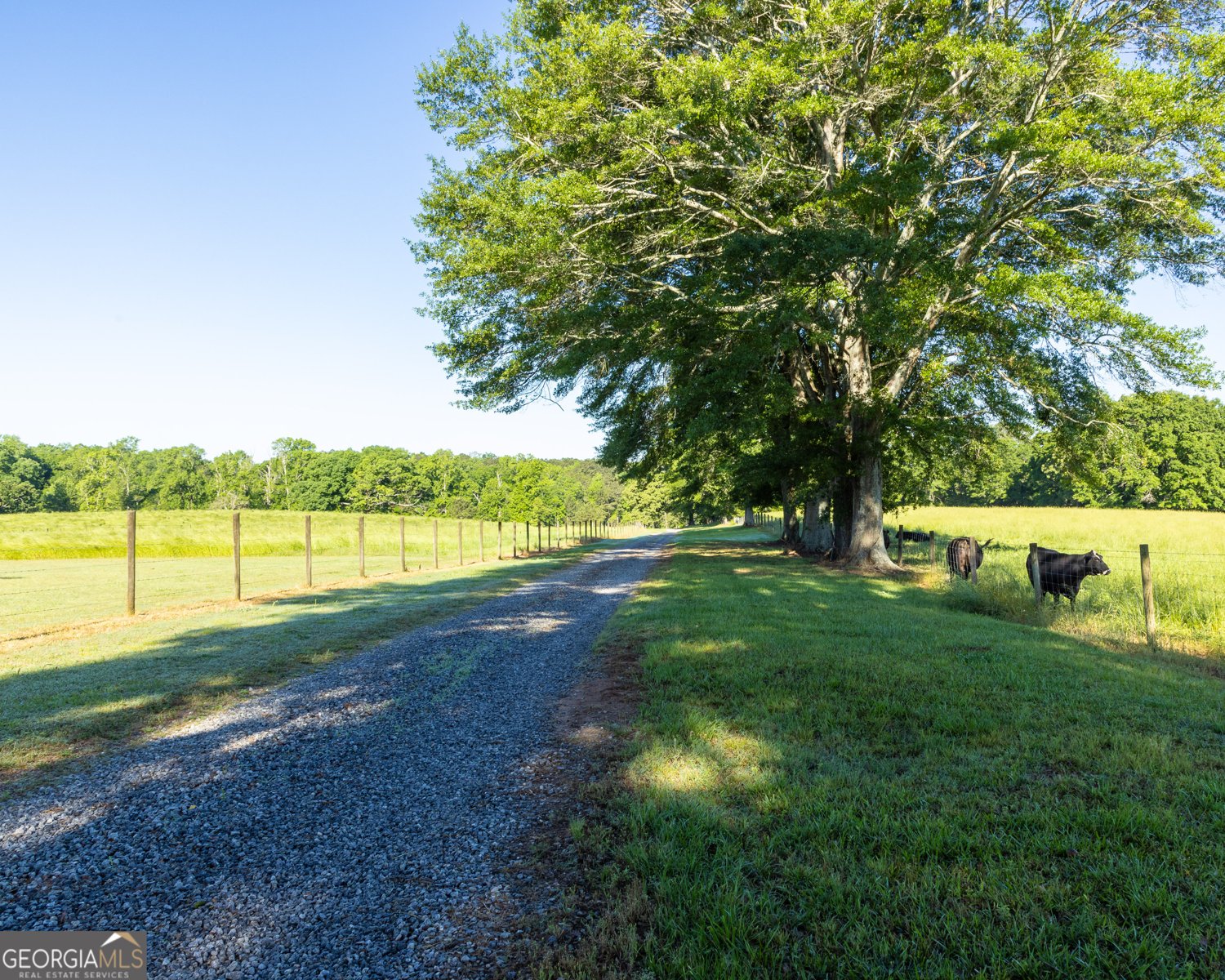 315 Mud Bridge Road The Rock - 60