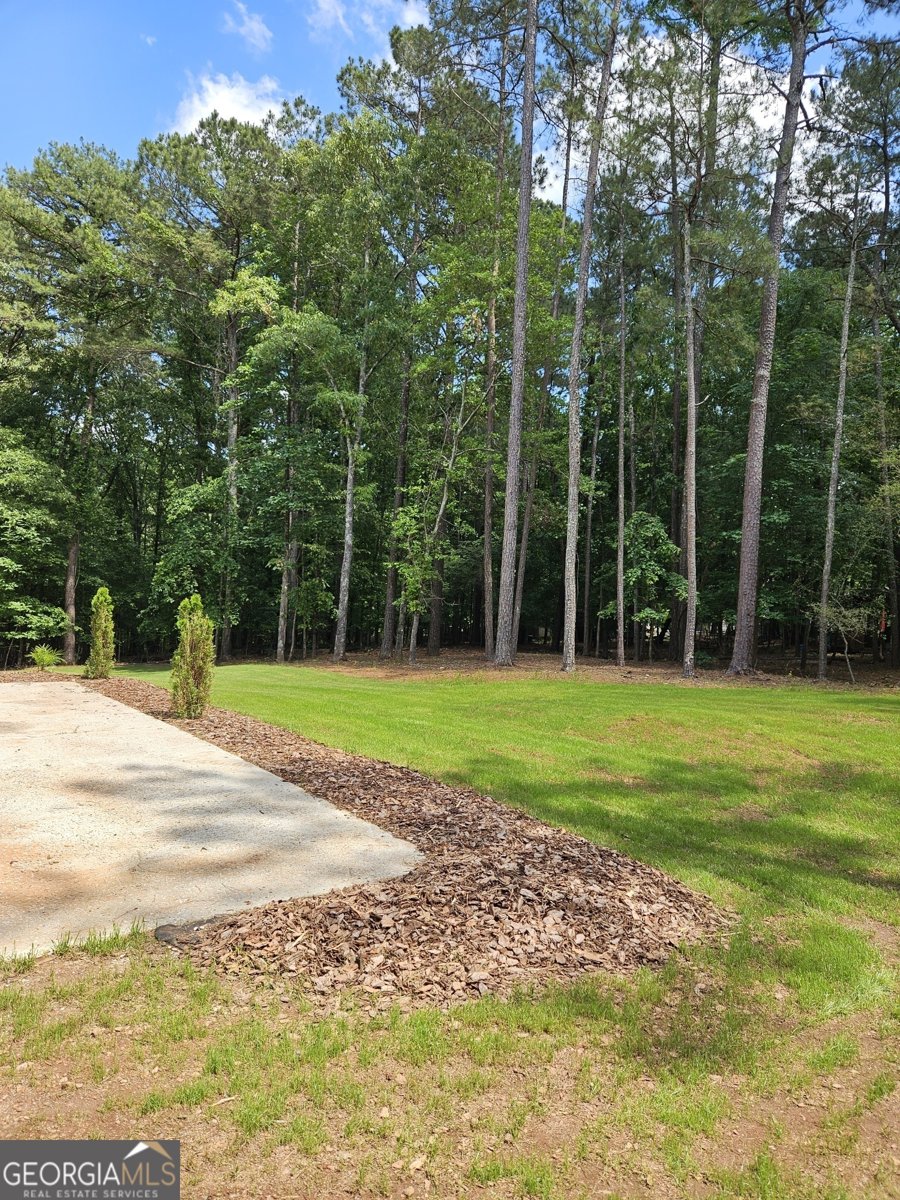 175 Forest Lake Drive Fayetteville - 10