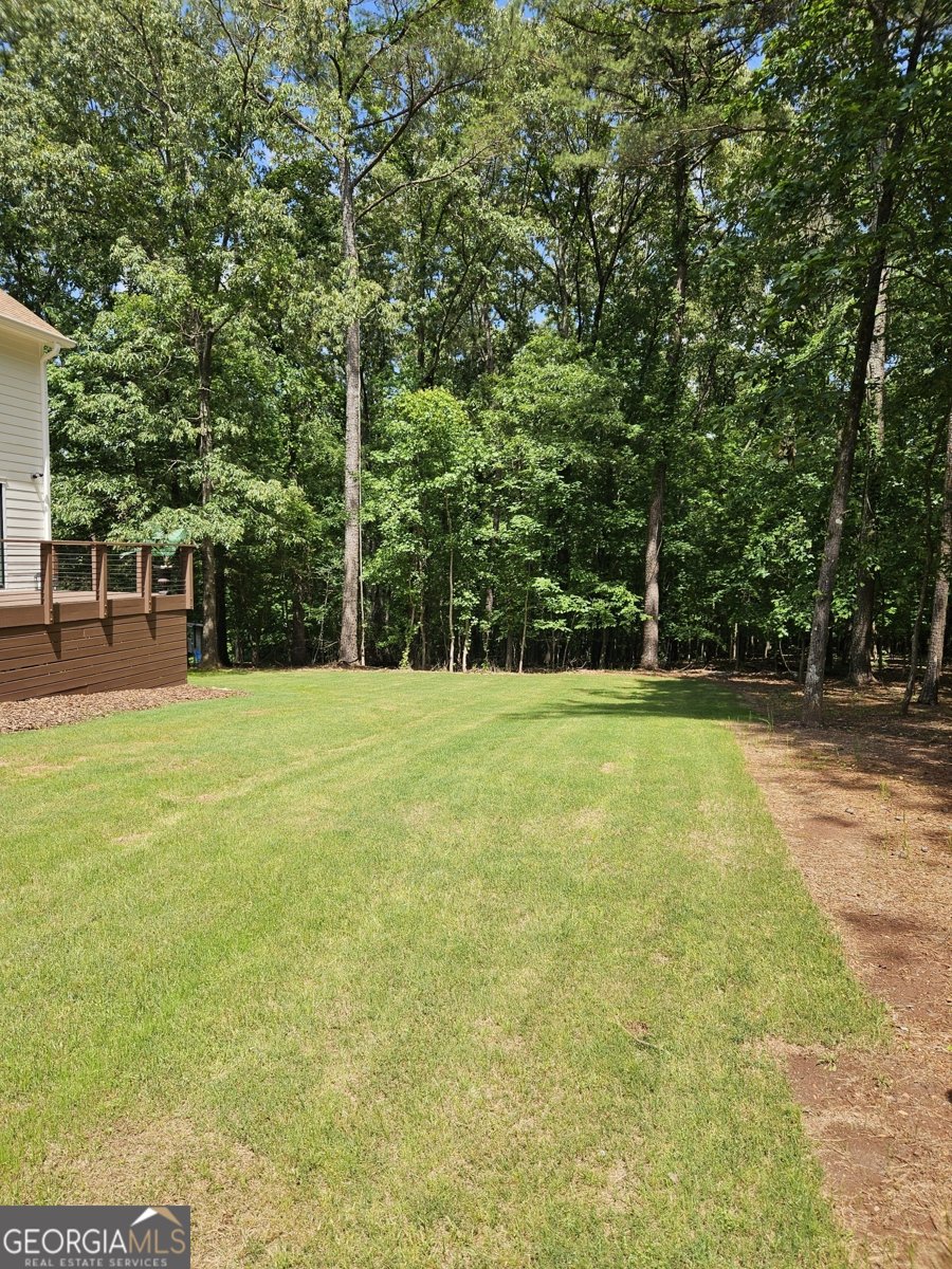 175 Forest Lake Drive Fayetteville - 12