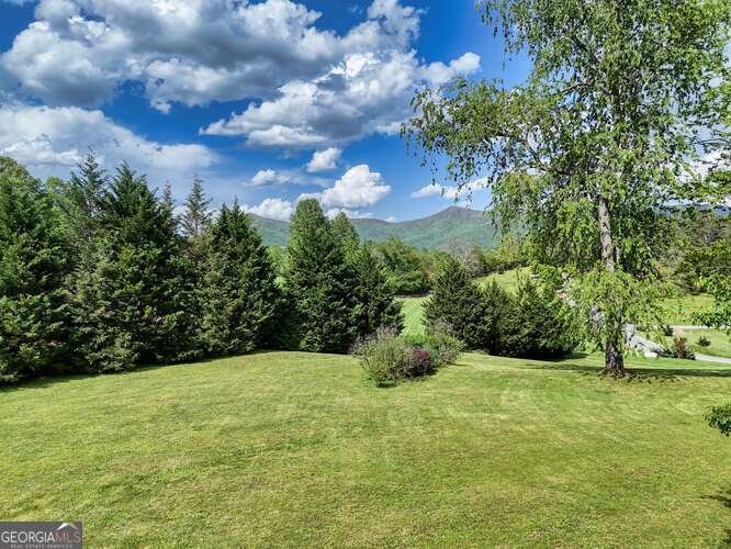 275 Everetts View Blairsville - 10