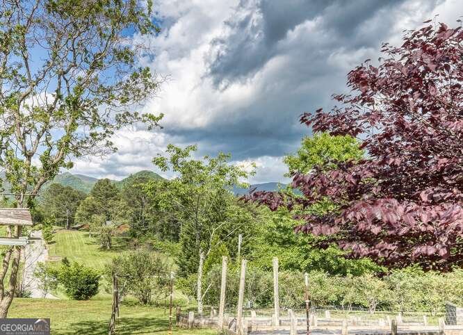275 Everetts View Blairsville - 11
