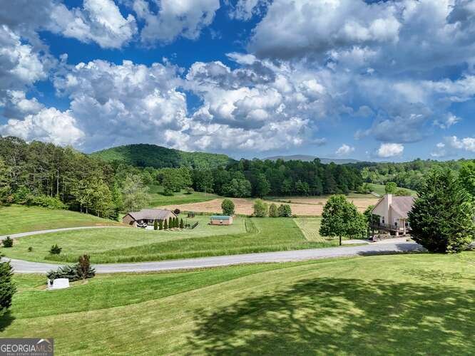 275 Everetts View Blairsville - 12