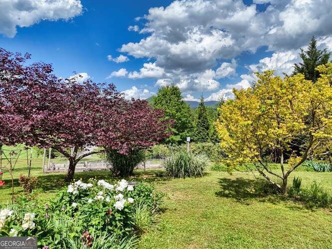 275 Everetts View Blairsville - 3